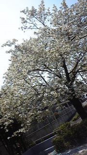 �t��