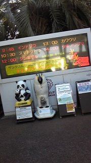 ZOO���V�A